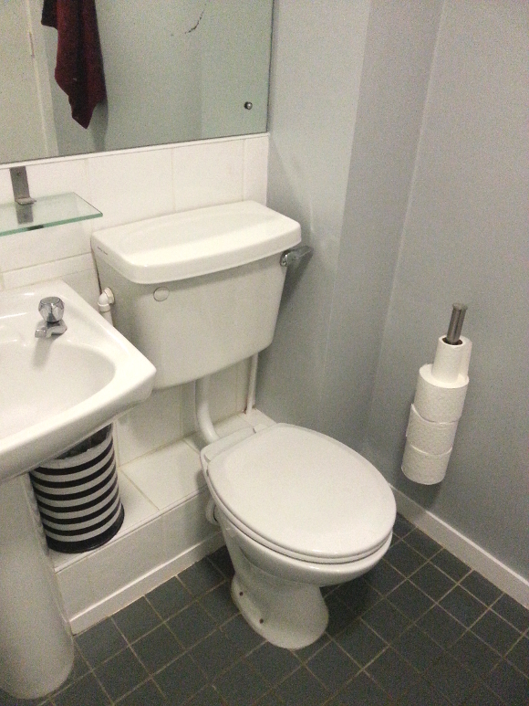 bathroom skirting board update – the interior diyer