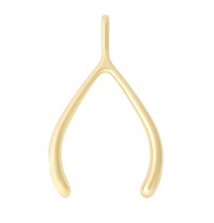 Indigo Lucky Charms Wishbone